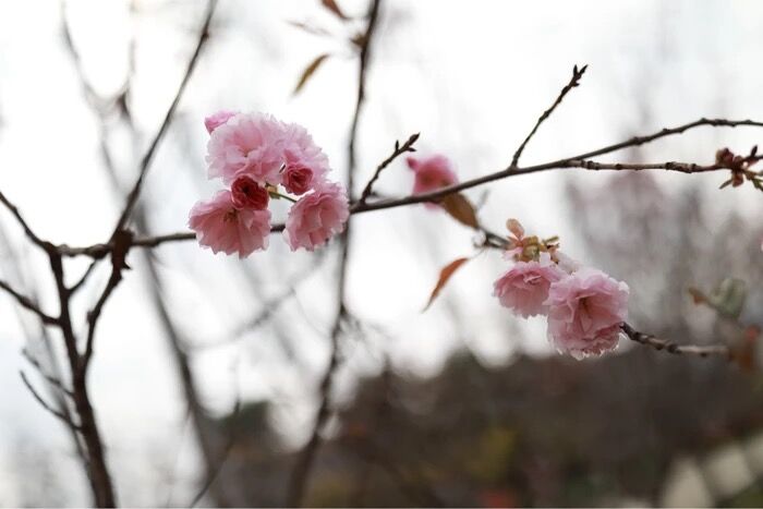 和风细雨中记广州app公司春游