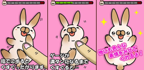 养猫app开发 做个专业的铲屎官