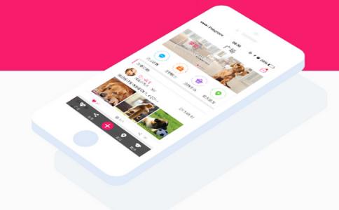 宠物社交app开发进行营销方法 宠物社交app开发进行营销方法