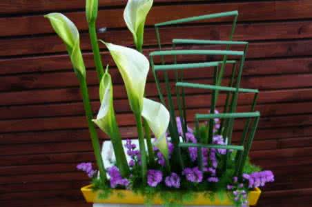 花艺教学app开发 助你变成花田匠人 花艺教学app开发 助你变成花田匠人