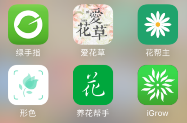 养花app开发教你如何养出好花