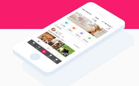 宠物食品电商软件开发面临着挑战 宠物食品电商软件开发面临着挑战