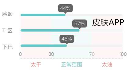 肤质报告app开发为何受女性欢迎