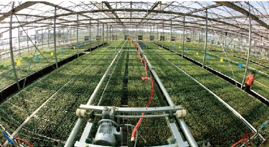 智能大棚app功能特点介绍 智能大棚app功能特点介绍