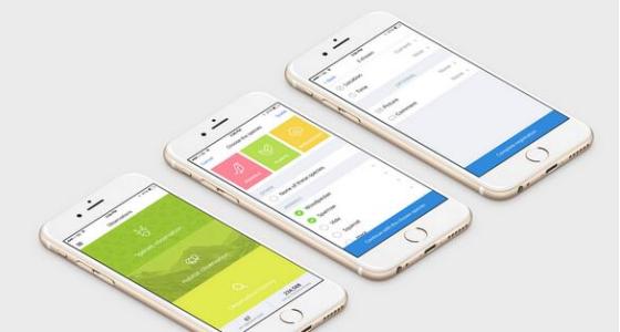 广州手机软件开发公司项目管理有哪些注意点