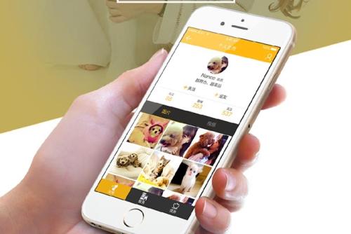 APP外包利弊分析 APP外包利弊分析