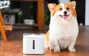 宠物智能饮水机APP开发 养宠界的黑科技 宠物智能饮水机APP开发 养宠界的黑科技