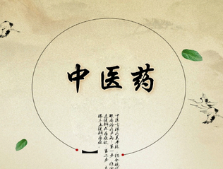 中医药APP开发策划