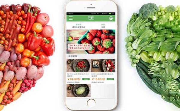 农产品销售APP定制开发对农民意义分析 农产品销售APP定制开发对农民意义分析