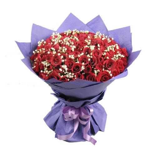 专业的养花管理app开发成为爱花者大本营