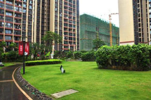 社区管理APP开发推动全区便捷管理发展