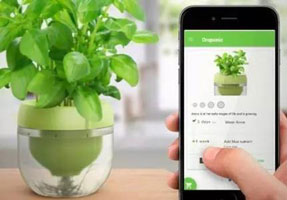 共享花盆APP开发 享受新的乐趣