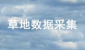 开发数据采集APP突破打开新世界