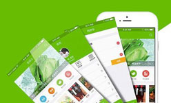 为何最近生鲜配送软件开发火了 为何最近生鲜配送软件开发火了