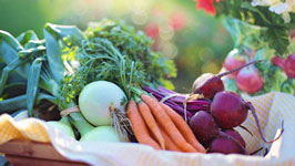 生鲜电商APP开发突围战怎么打 生鲜电商APP开发突围战怎么打