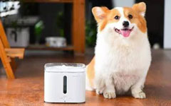 宠物饮水机APP开发 养宠的好福利 宠物饮水机APP开发 养宠的好福利