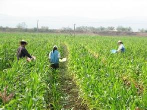 农业APP定制开发可行性与必要性分析