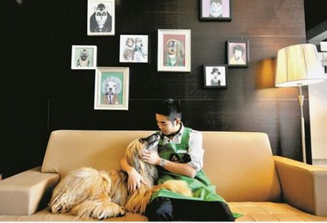 宠物医院app开发 给宠物更好地照料 宠物医院app开发 给宠物更好地照料