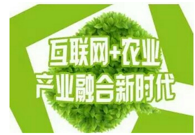 生态农业APP开发为农业迎来了暖春 生态农业APP开发为农业迎来了暖春