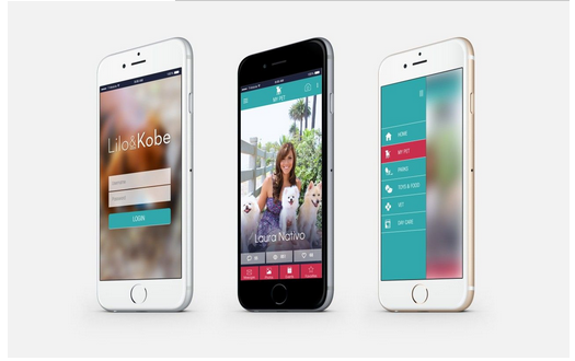 91直播
告诉你APP开发如何盈利