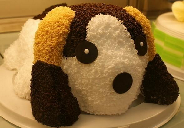 广州app公司不一样的“光棍”生日party