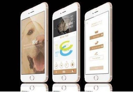 宠物医疗app软件开发是一座大金矿 宠物医疗app软件开发是一座大金矿