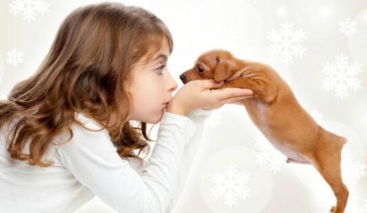 爱宠社区app开发如何吸引养宠人士