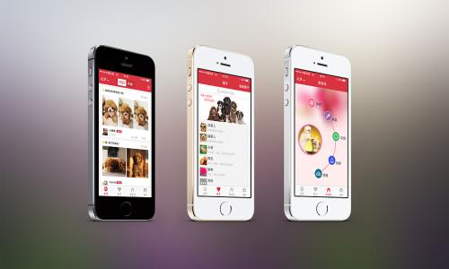 宠物app开发解决方案