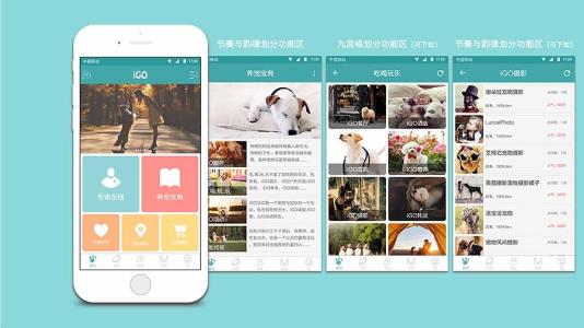 宠物管理APP开发有哪些功能特点