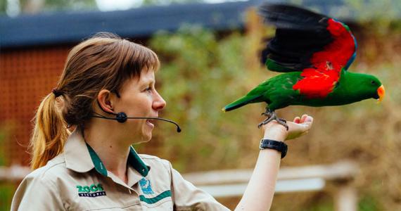 野生动物保护监测软件开发
