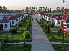 生态农场app软件开发 打开销售渠道