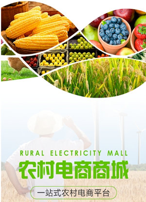 农村电商软件开发