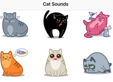 开发猫狗翻译软件