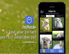 流浪动物领养APP开发 做个有爱的养宠人