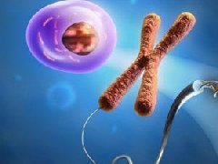 基因检测小程序开发 一键获取基因报告