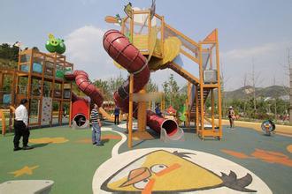 开发老年主题公园app