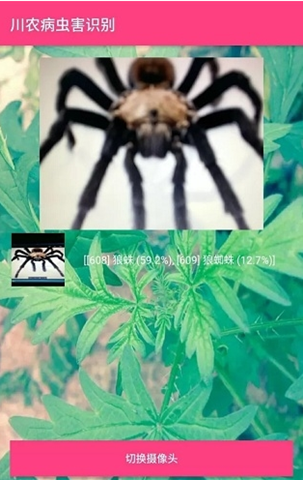 农作物病害识别APP开发