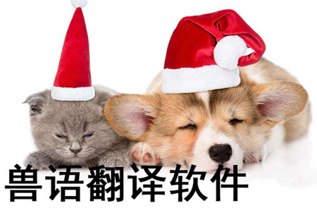 兽语翻译器app开发