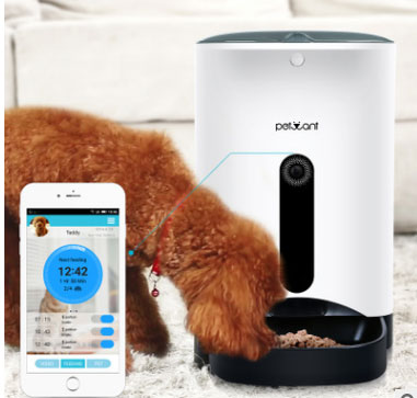 宠物投食机APP开发