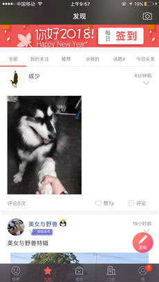 宠物健康管理APP开发