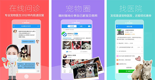 宠物医生软件开发