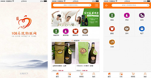 开发物联网系统