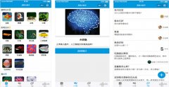 养鱼APP开发 全心全意保驾护航