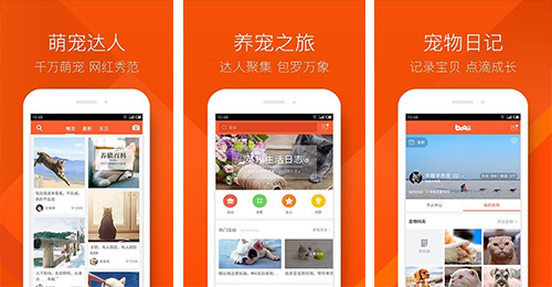 宠物门店软件开发