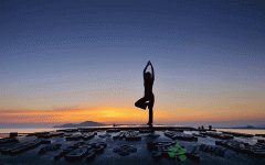 开发瑜伽APP进入标准化阶段