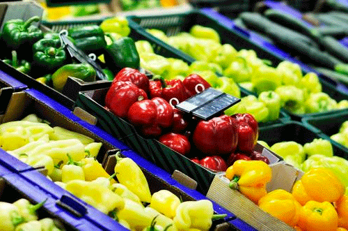 在线买菜app-91直播