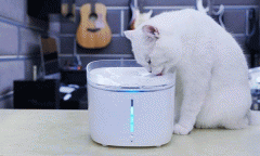 智能宠物饮水机APP开发 让宠物生活更加健康