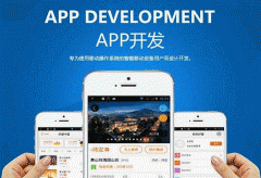 一家专业的APP开发公司会提供什么服务