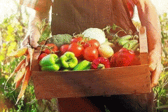 定制开发生鲜服务APP如何提高质量 定制开发生鲜服务APP如何提高质量