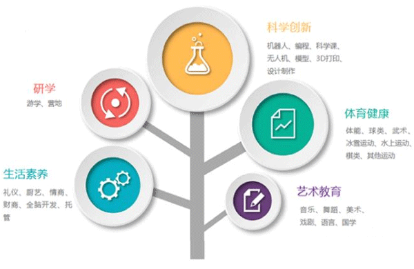 素质教育app开发 培养人才--专业制作app 公司91直播